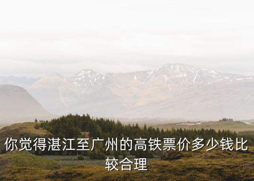 你覺得湛江至廣州的高鐵票價多少錢比較合理