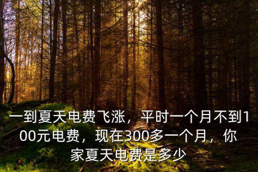 一到夏天電費(fèi)飛漲，平時(shí)一個(gè)月不到100元電費(fèi)，現(xiàn)在300多一個(gè)月，你家夏天電費(fèi)是多少