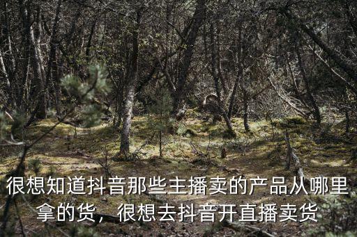 廣州商家直播賣貨去哪里找貨,網上直播賣貨的貨源