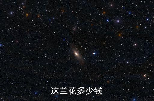 日照蘭花多少錢,30年的蘭花值多少錢
