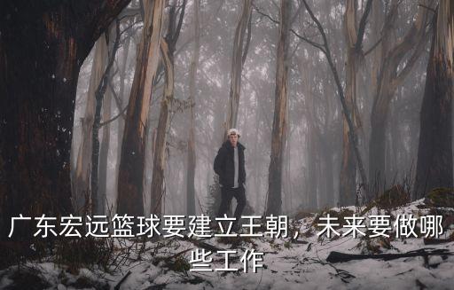 廣東宏遠籃球怎么樣,廣東宏遠籃球要建立王朝
