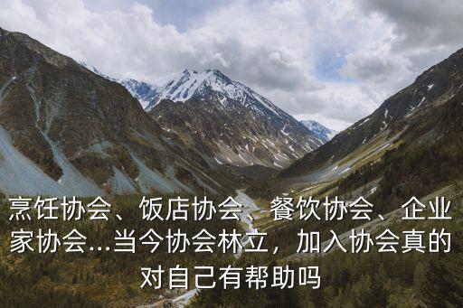 濟南市企業家協會會費交多少,企業家協會…當今協會林立