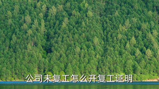 公司未復工怎么開復工證明