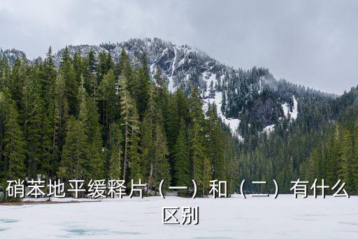 硝苯地平緩釋片（一）和（二）有什么區別