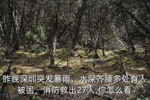 昨晚深圳突發暴雨，水深齊腰多處有人被困，消防救出27人,你怎么看