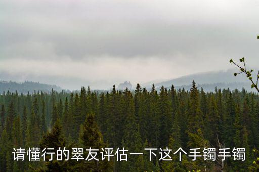 請懂行的翠友評估一下這個手鐲手鐲