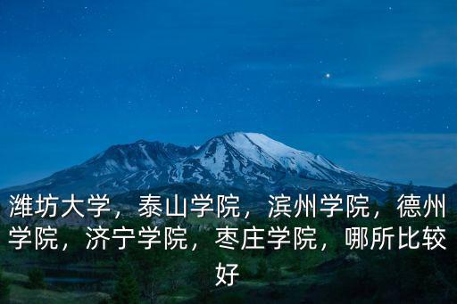 棗莊學院在山東排多少名,山東青年政治學院