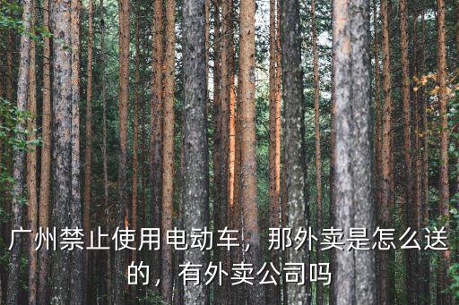 廣州禁止使用電動(dòng)車，那外賣是怎么送的，有外賣公司嗎