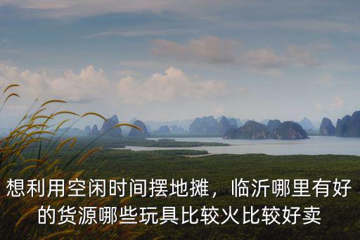 想利用空閑時間擺地攤，臨沂哪里有好的貨源哪些玩具比較火比較好賣