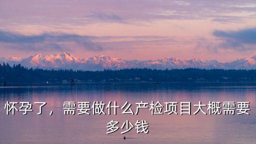 懷孕了，需要做什么產檢項目大概需要多少錢