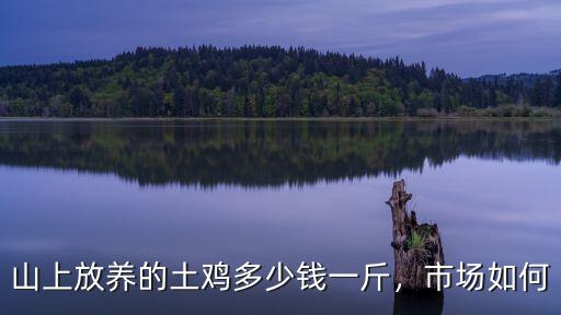 浙江諸暨散養(yǎng)雞多少錢一斤,山上放養(yǎng)的土雞多少錢一斤