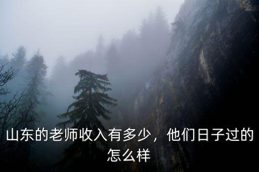 山東的老師收入有多少，他們日子過的怎么樣
