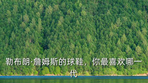 佛山哪里有詹姆斯球鞋賣的,勒布朗·詹姆斯的球鞋