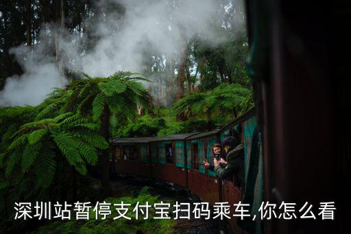 支付寶怎么刷公交深圳,深圳站暫停支付寶掃碼乘車