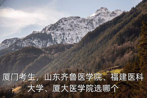 廈門考生，山東齊魯醫(yī)學(xué)院、福建醫(yī)科大學(xué)、廈大醫(yī)學(xué)院選哪個(gè)