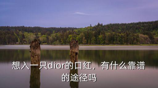 想入一只dior的口紅，有什么靠譜的途徑嗎
