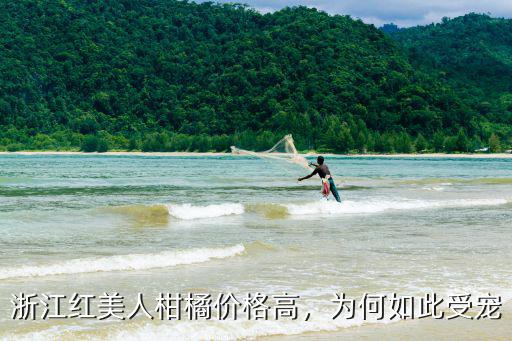 麗水紅美人柑橘多少一斤,象山紅美人柑橘為什么很貴