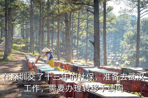 深圳轉(zhuǎn)武漢工作社保怎么辦理,準(zhǔn)備去武漢工作