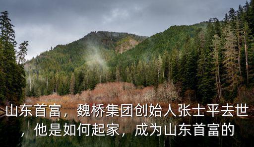 山東首富一年收入多少,成為山東首富的