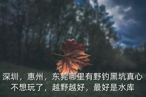 深圳，惠州，東莞哪里有野釣黑坑真心不想玩了，越野越好，最好是水庫