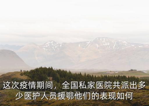 這次疫情期間，全國(guó)私家醫(yī)院共派出多少醫(yī)護(hù)人員援鄂他們的表現(xiàn)如何