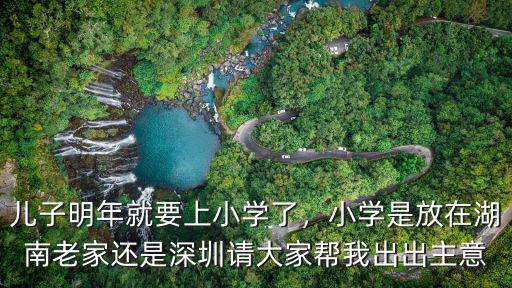 兒子明年就要上小學了，小學是放在湖南老家還是深圳請大家幫我出出主意