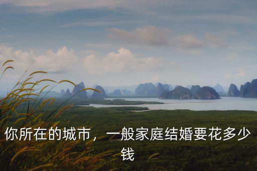 你所在的城市，一般家庭結(jié)婚要花多少錢(qián)