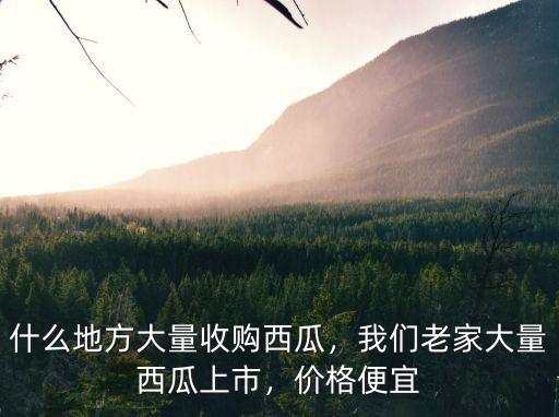 廣州最便宜西瓜多少錢,夏天吃西瓜最過癮