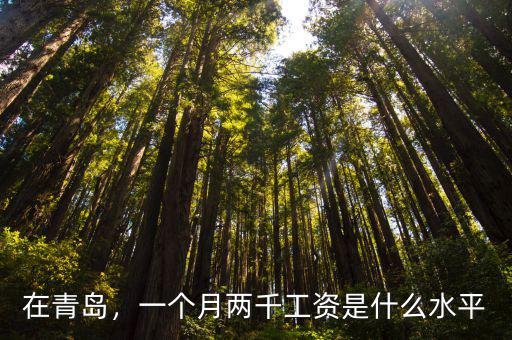 在青島，一個月兩千工資是什么水平