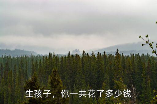 生孩子，你一共花了多少錢