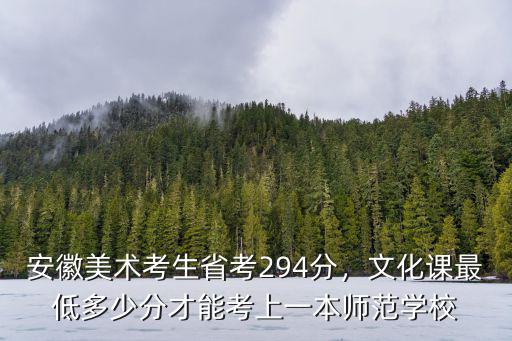 安徽省美術生考杭州師范多少分,安徽美術考生省考294分