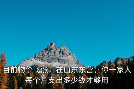 目前物價飛漲，在山東東營，你一家人每個月支出多少錢才夠用