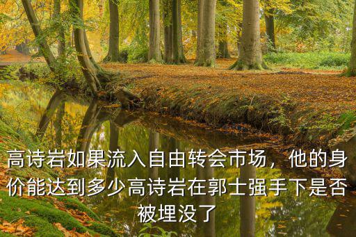 高詩巖如果流入自由轉會市場，他的身價能達到多少高詩巖在郭士強手下是否被埋沒了