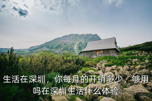 深圳的水費一般一個月多少,你每月的開銷多少