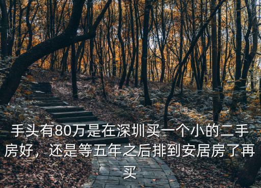 手頭有80萬是在深圳買一個小的二手房好，還是等五年之后排到安居房了再買