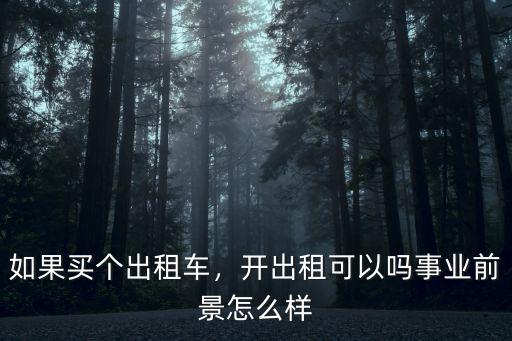 如果買個出租車，開出租可以嗎事業前景怎么樣