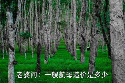 老婆問：一艘航母造價是多少