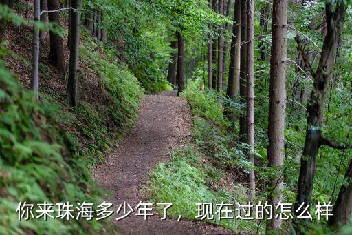 珠海堵車現在怎么樣了,珠海的交通狀況怎么樣