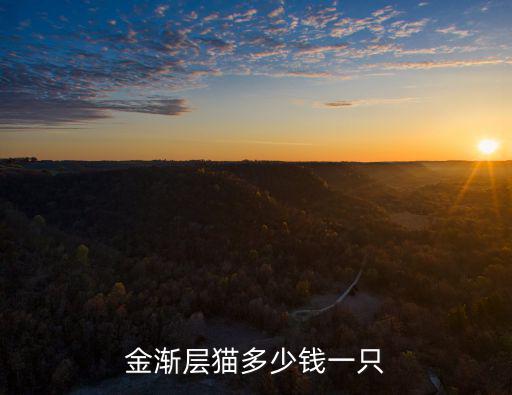 潮州市金漸層多少錢一只,銀漸層多少錢一只