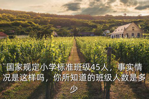 深圳小學(xué)規(guī)定一個(gè)班多少人,國家規(guī)定小學(xué)標(biāo)準(zhǔn)班級45人