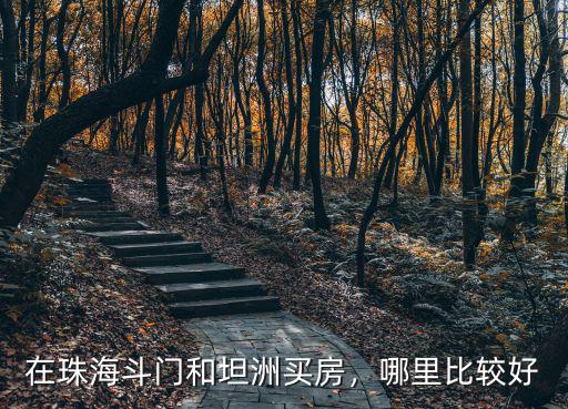 在珠海斗門和坦洲買房，哪里比較好
