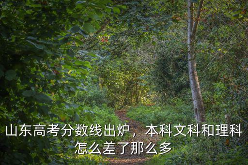 山東高考分?jǐn)?shù)線(xiàn)出爐，本科文科和理科怎么差了那么多
