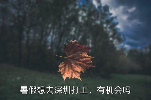 深圳西麗哪里招暑假工,暑假想去深圳打工