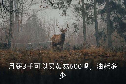 月薪3千可以買黃龍600嗎，油耗多少