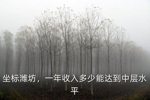 濰坊收入多少無壓力,一年收入多少能達到中層水平