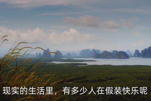 深圳有多少人在假裝生活,現實的生活里