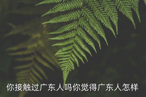 你接觸過廣東人嗎你覺得廣東人怎樣