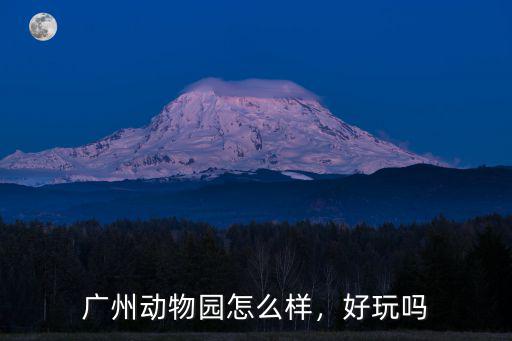 廣州動物園游戲怎么爬報紙墻壁,過年想去廣州長隆動物園玩