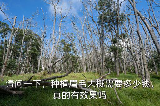 嘉興植眉毛多少錢都問萊森,種植眉毛大概需要多少錢
