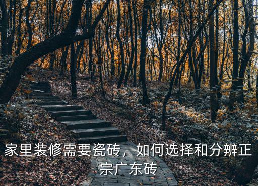 家里裝修需要瓷磚，如何選擇和分辨正宗廣東磚